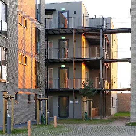 Pet Friendly In Lembruch-duemmer Apartamento
